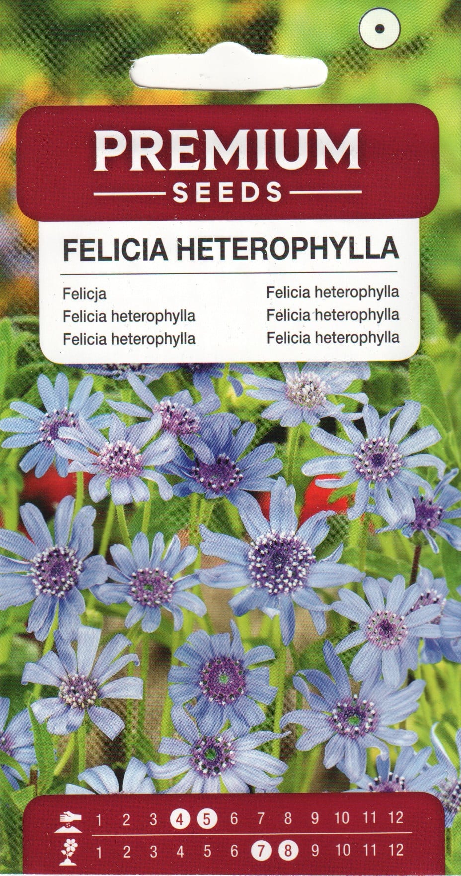 Bergeri tähtlill