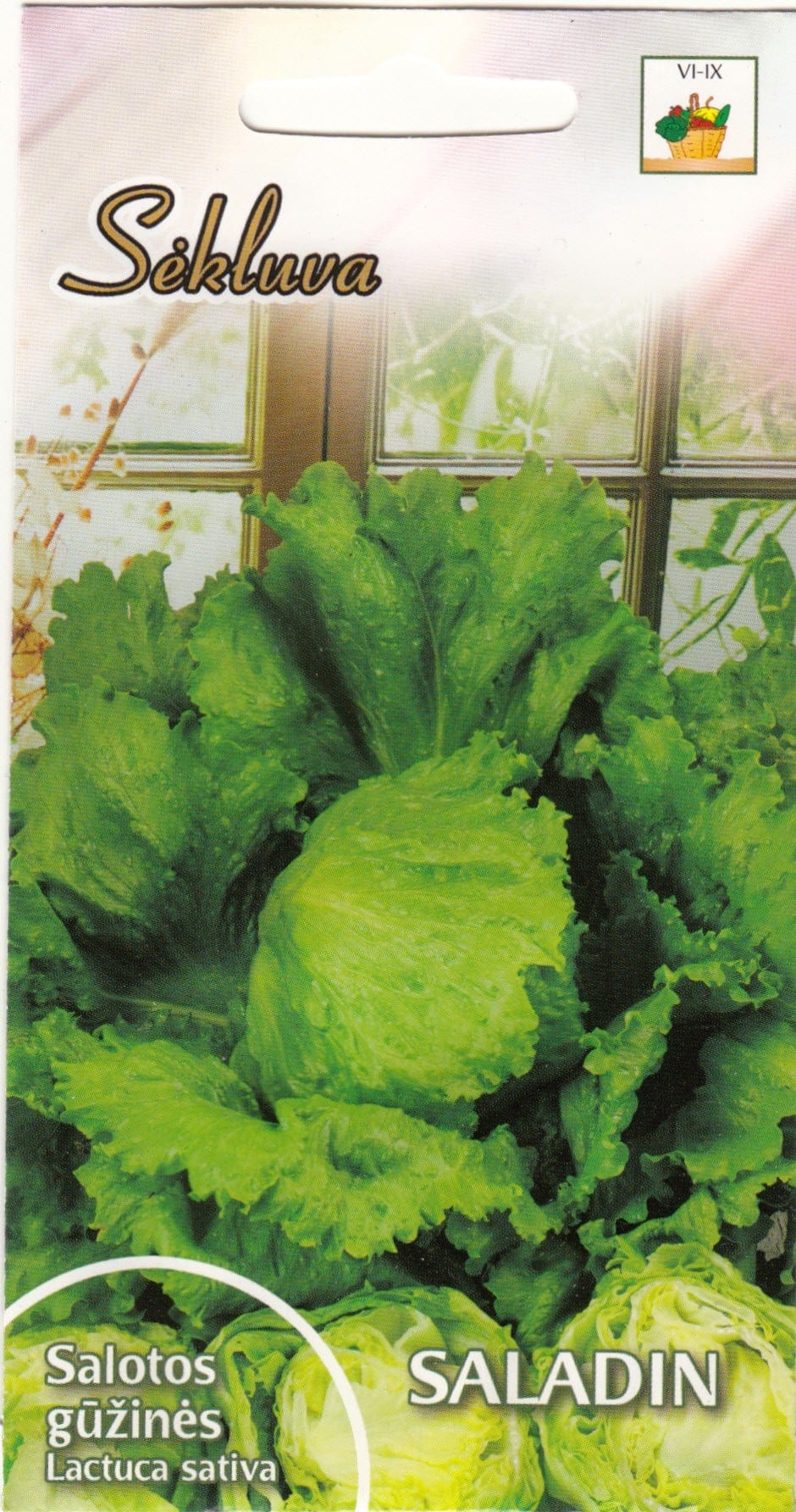 Jääsalat "Saladin"