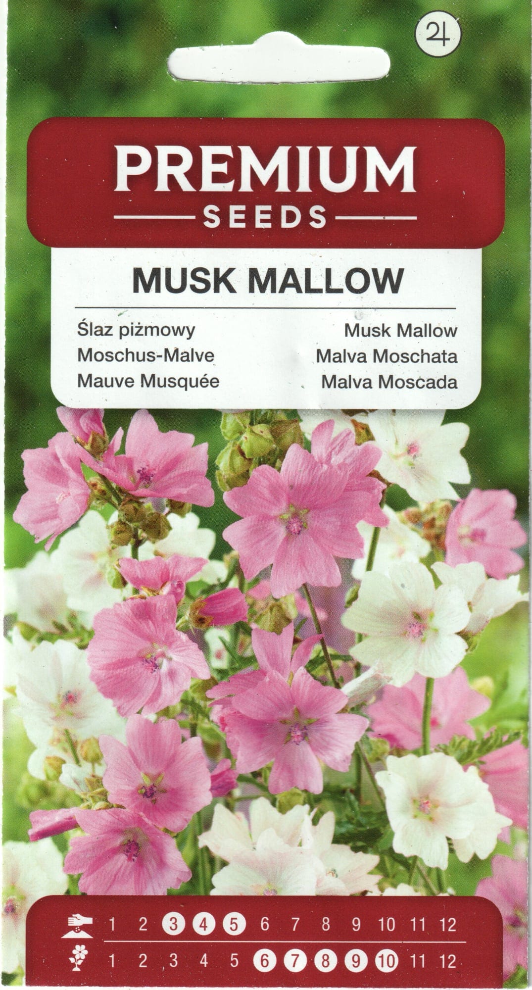 Muskus-kassinaeris "Mixed"