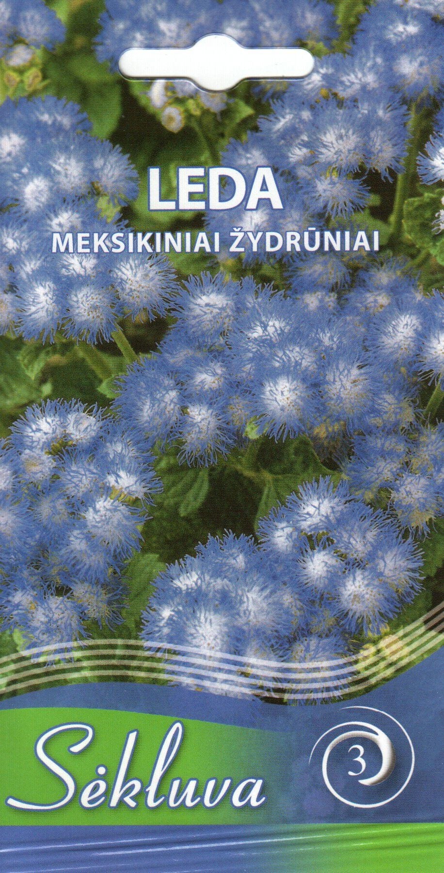 Mehhiko päsmaslill "Leda"