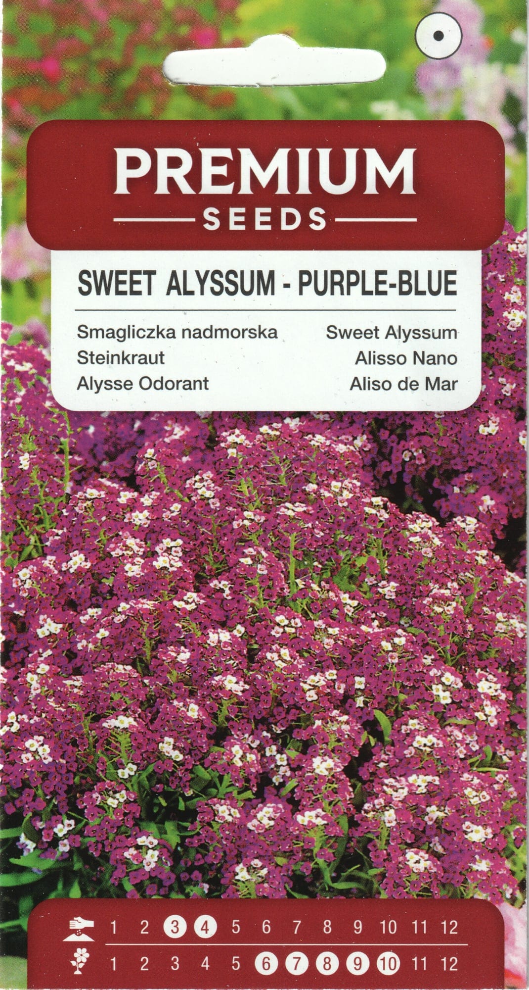 Rand-kivikilbik "Purple-Blue"