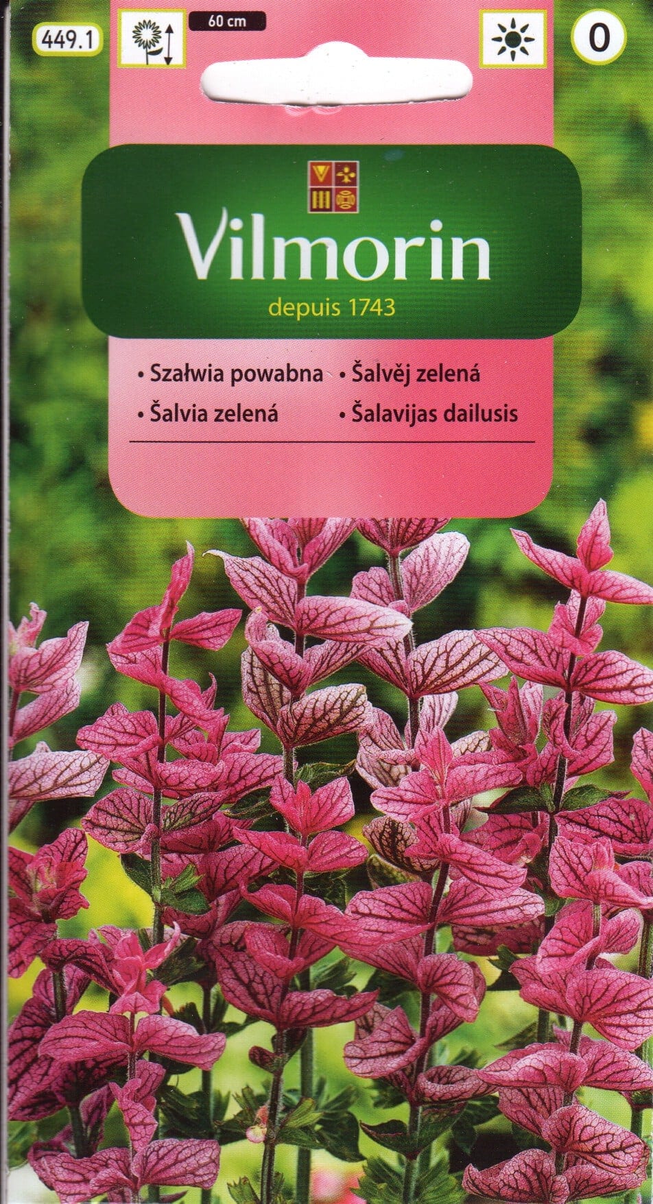 Kirju salvei roosa