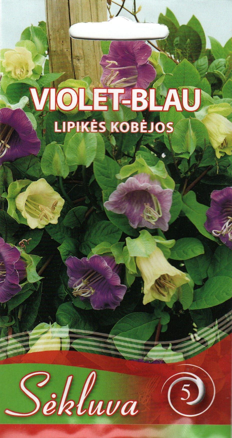 Mehhiko vanikkuljus segu "Violet Blau"