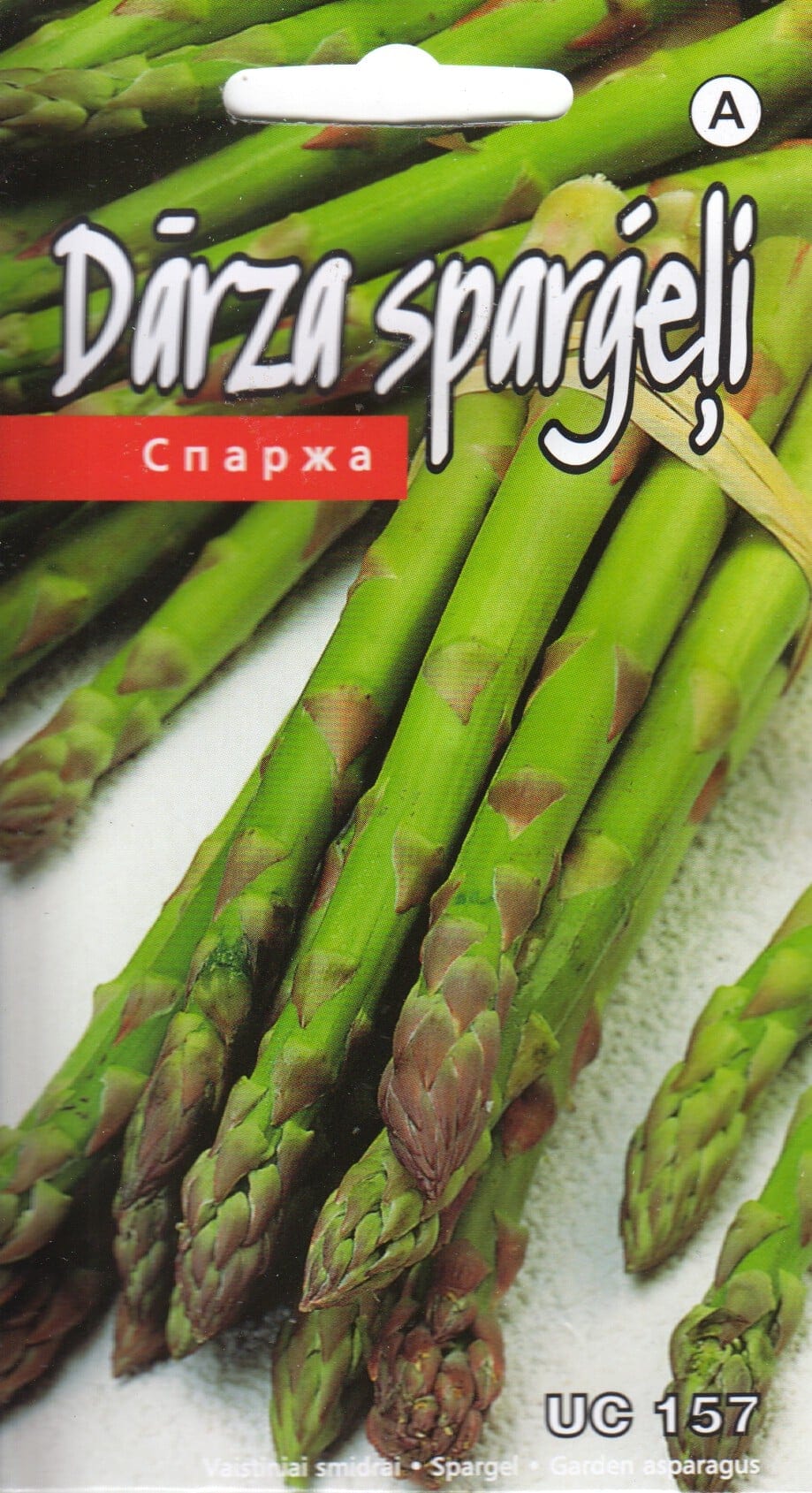 Spargel "UC 157"