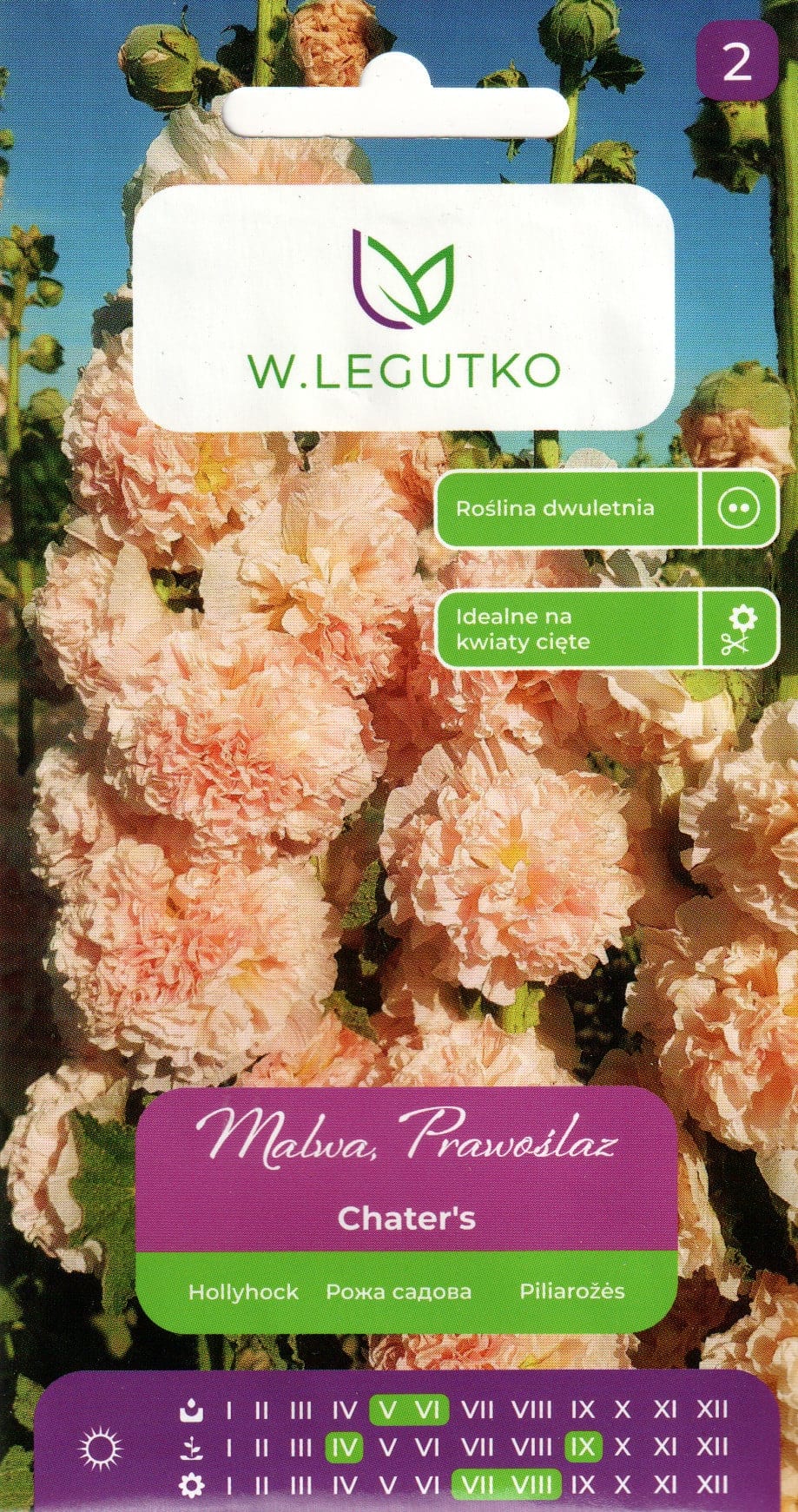 Aed-tokkroos "Chater`s Salmon"