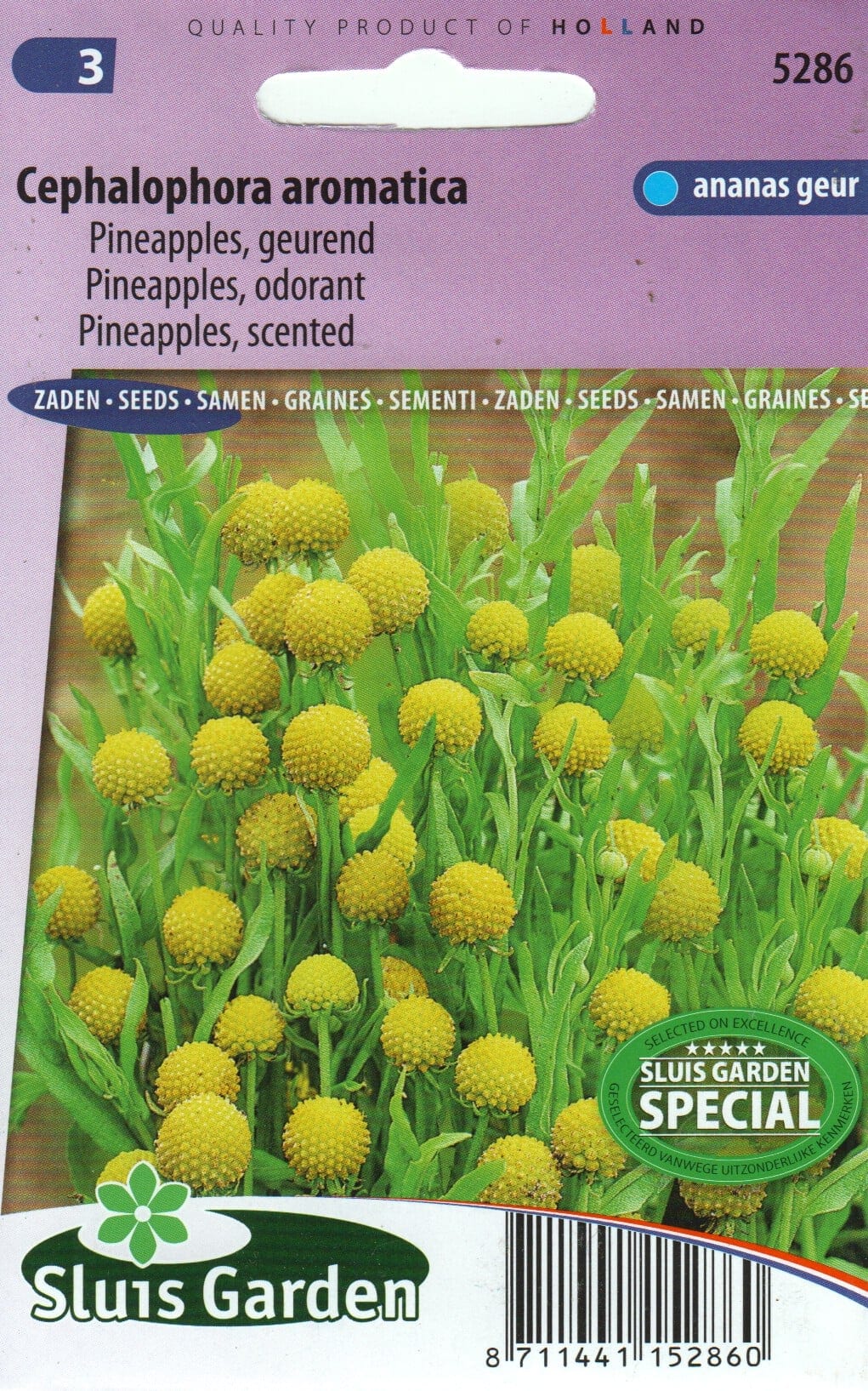 Nupsheleenium