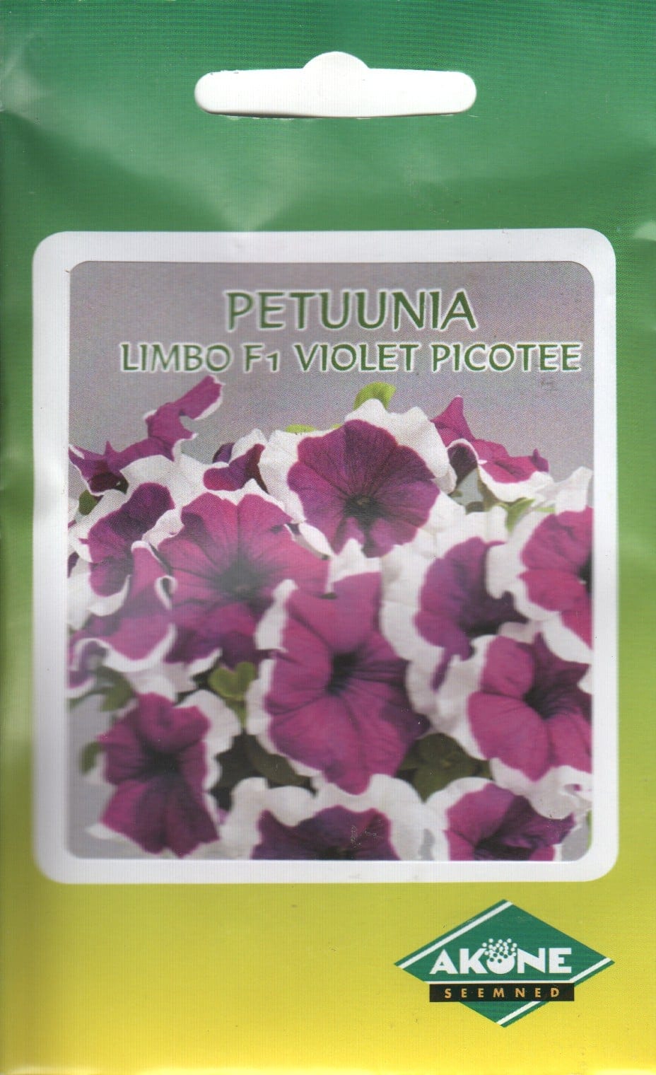 Petuunia "Limbo Violet Picotee" F1