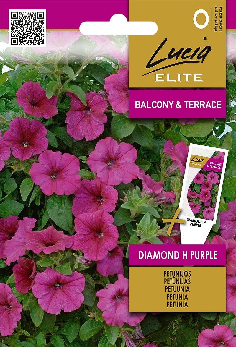 Ripp-petuunia “Diamond Purple” F1
