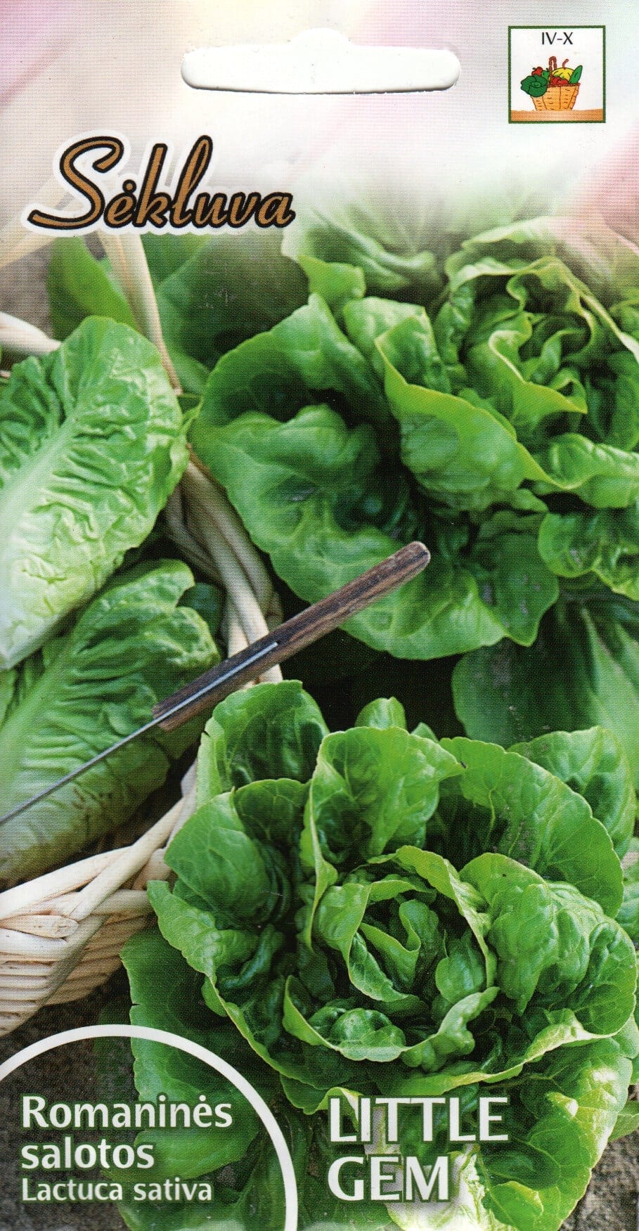 Rooma salat "Little Gem"
