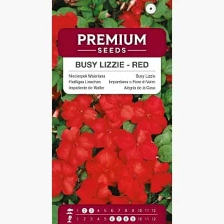 Sultan-lemmalts "Red"
