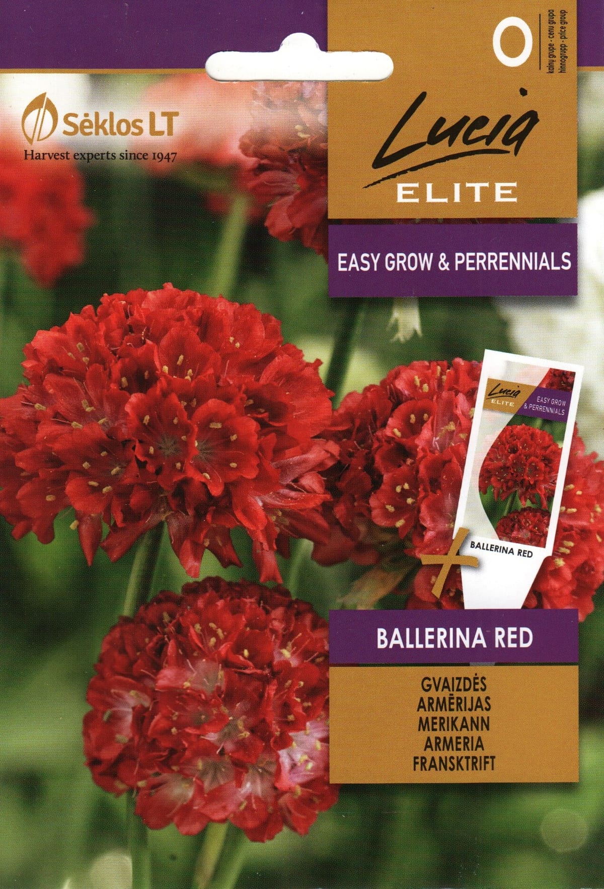 Laialehine merikann "Ballerina Red"