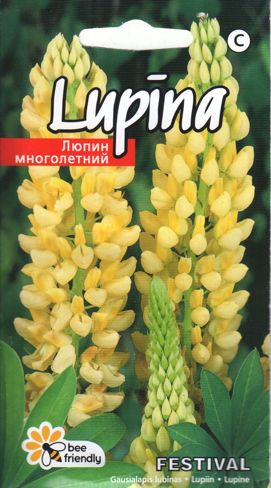 Hulgalehine lupiin "Festival"