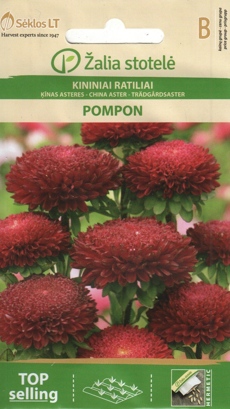 Aster punane "Pompon"