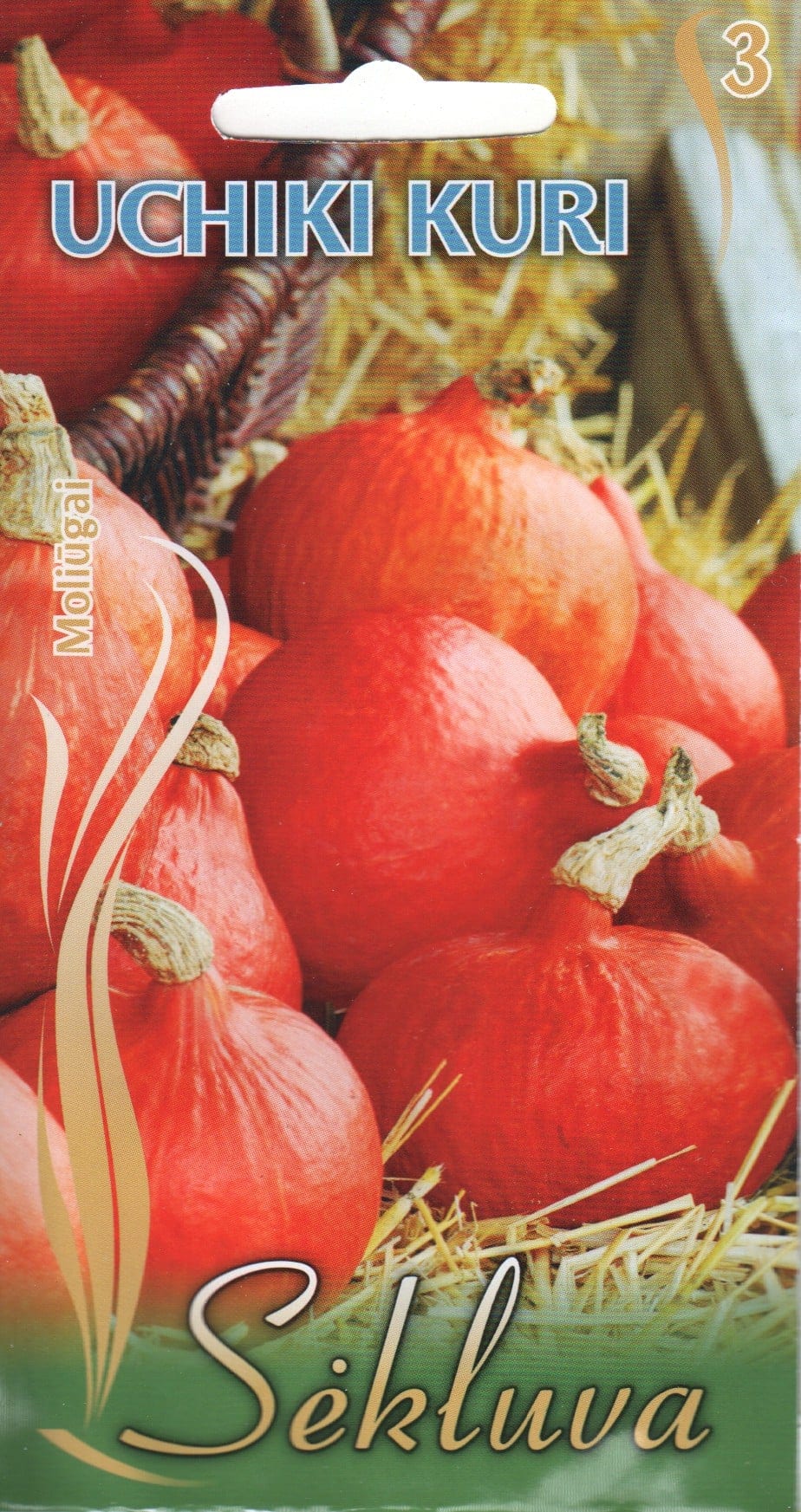 Hokkaido kõrvits "Uchiki Kuri"