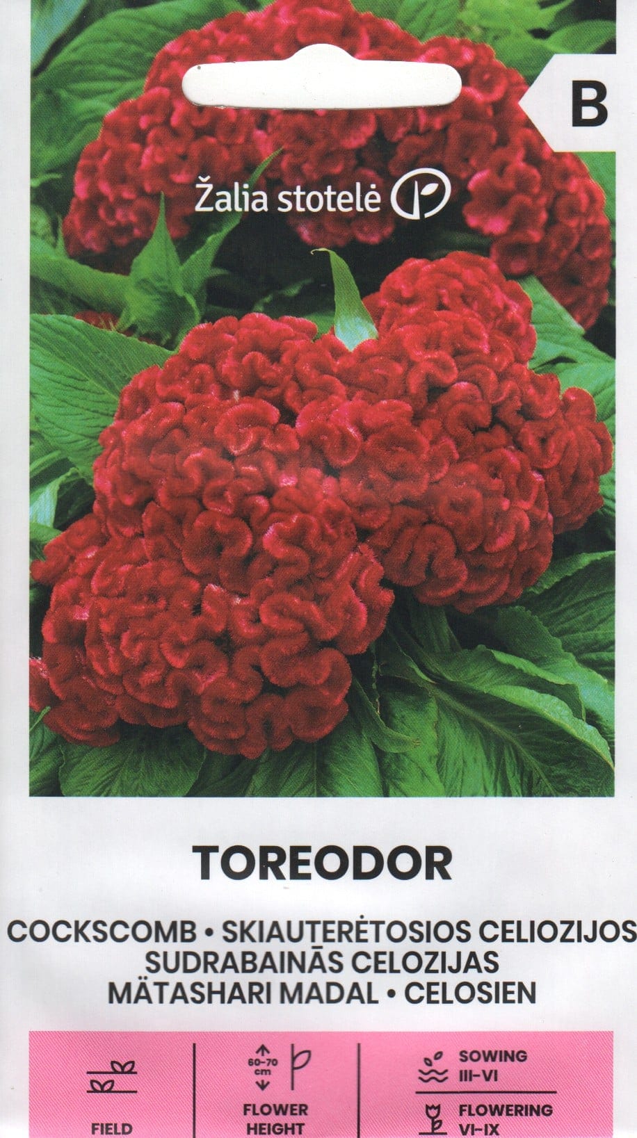 Mätashari "Toreodor"