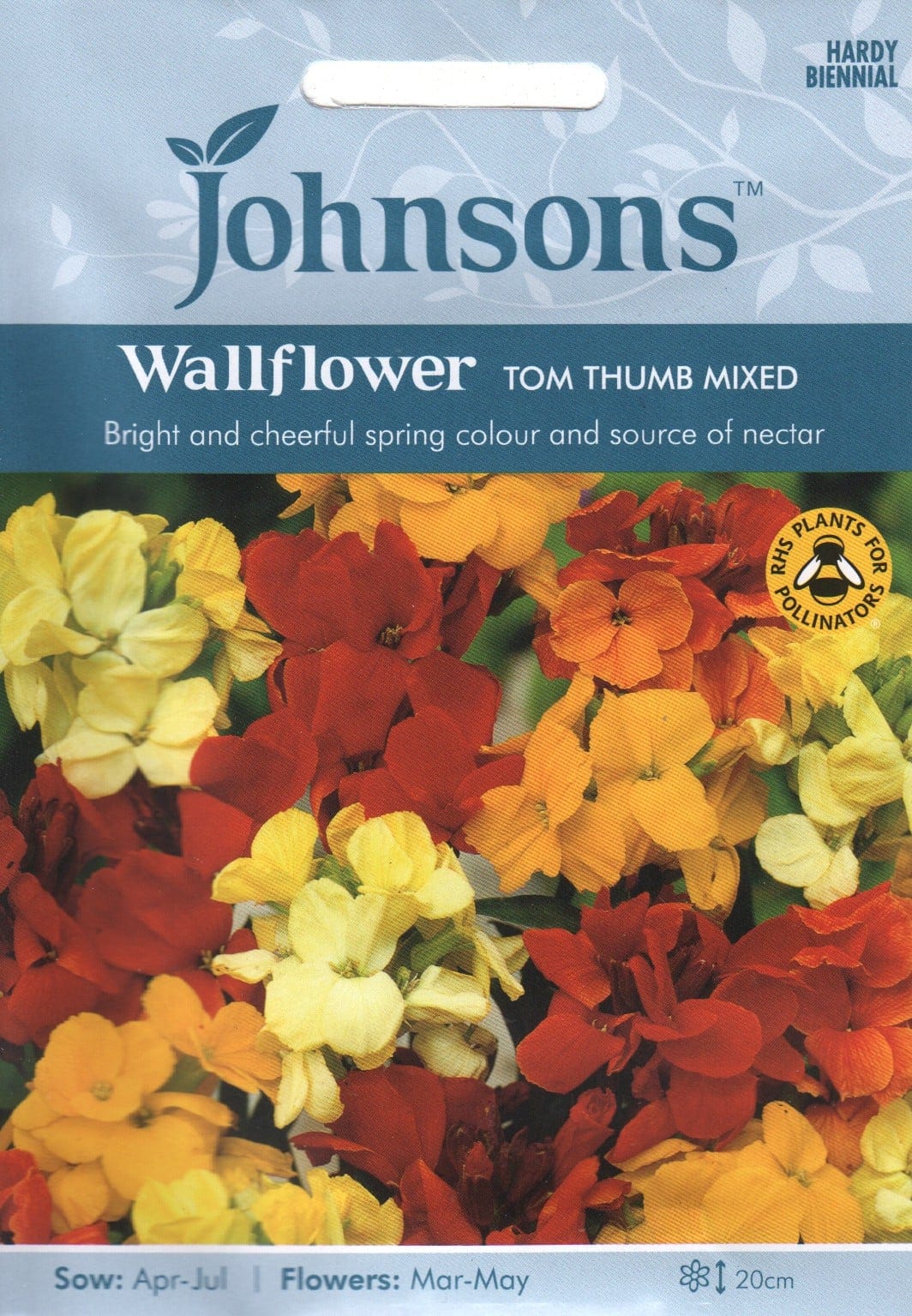Kuldlakk "Tom Thumb Mixed"