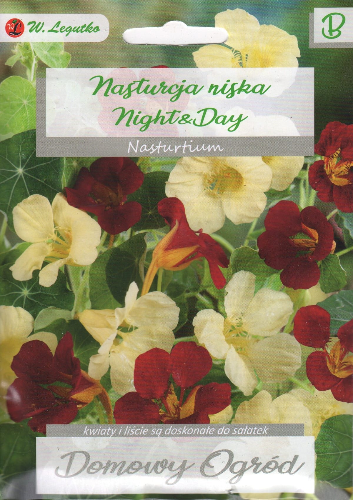 Suur mungalill "Night and Day"