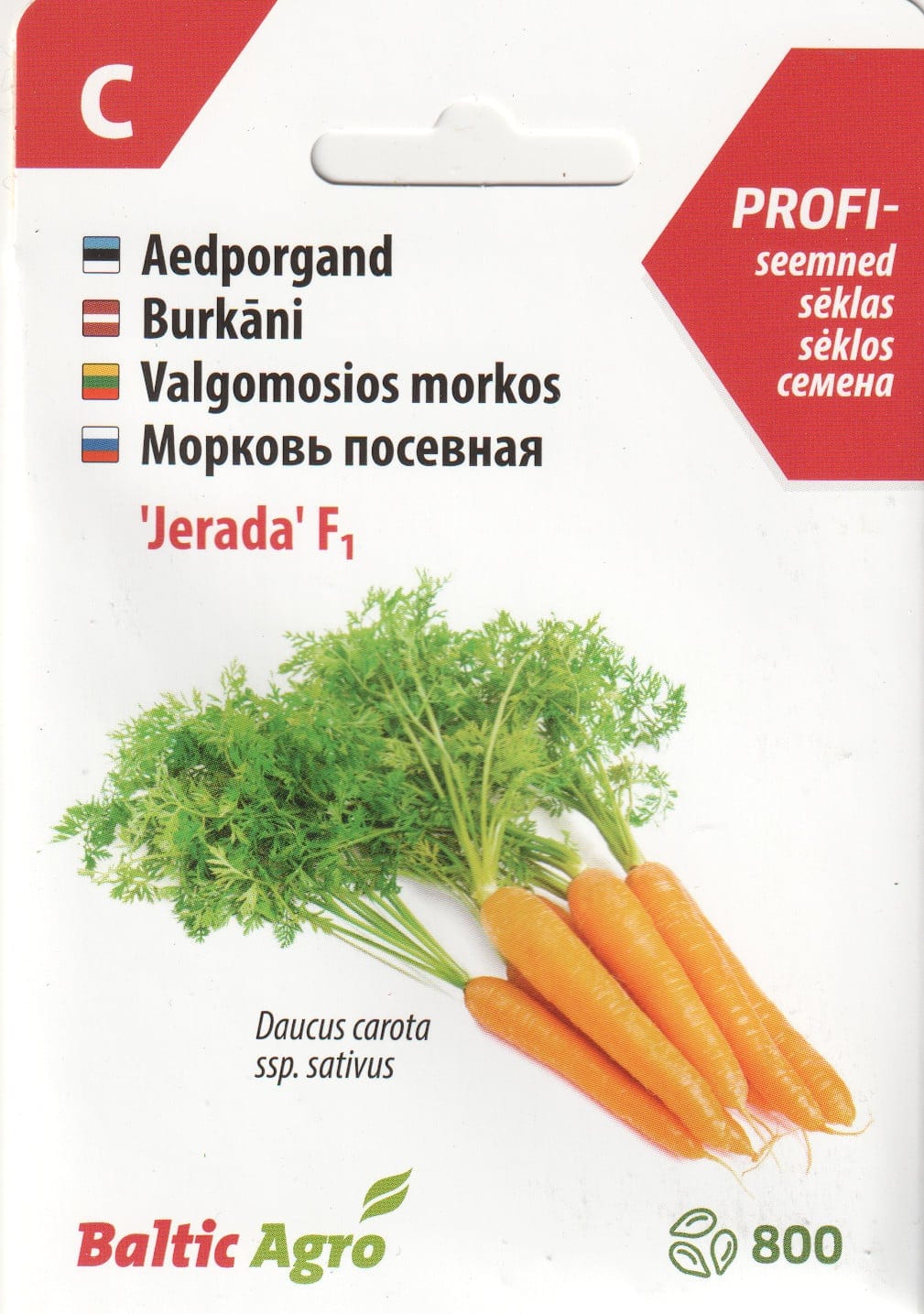 Porgand "Jerada" F1