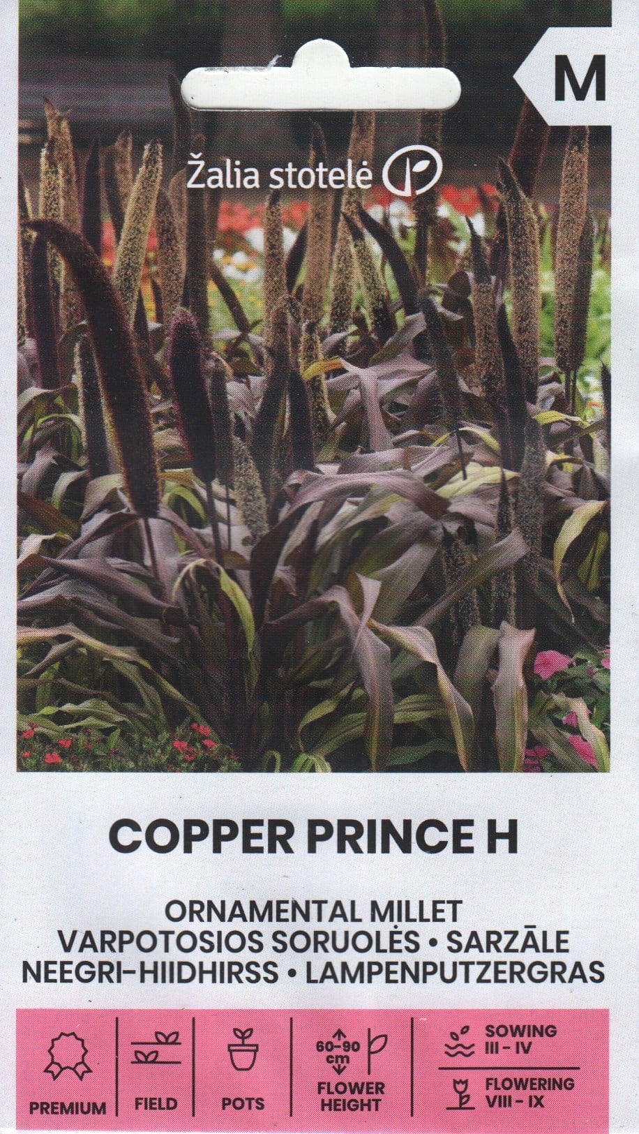 Neegri-hiidhirss "Copper Prince" F1