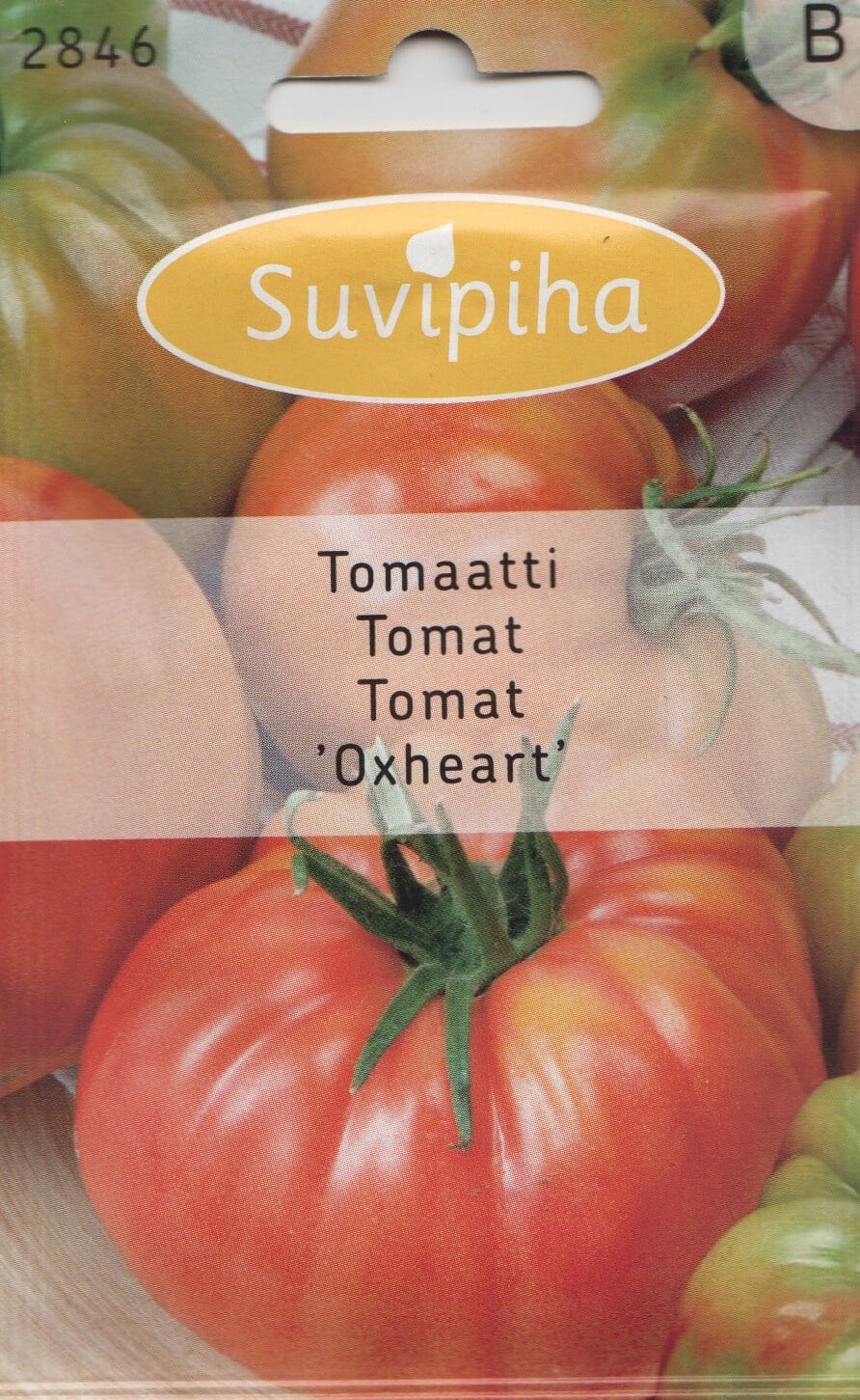 Tomat "Oxheart" / "Härjasüda"