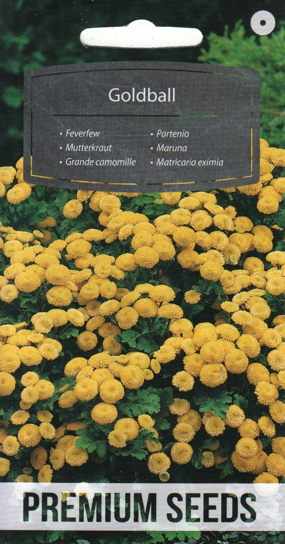 Lõhnav neitsikummel "Goldball"
