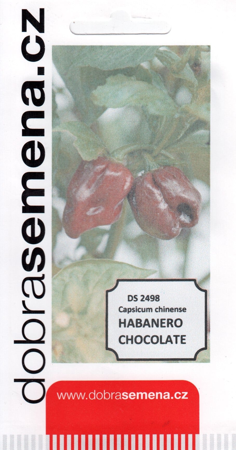 Kariibi paprika "Habanero Chocolate"