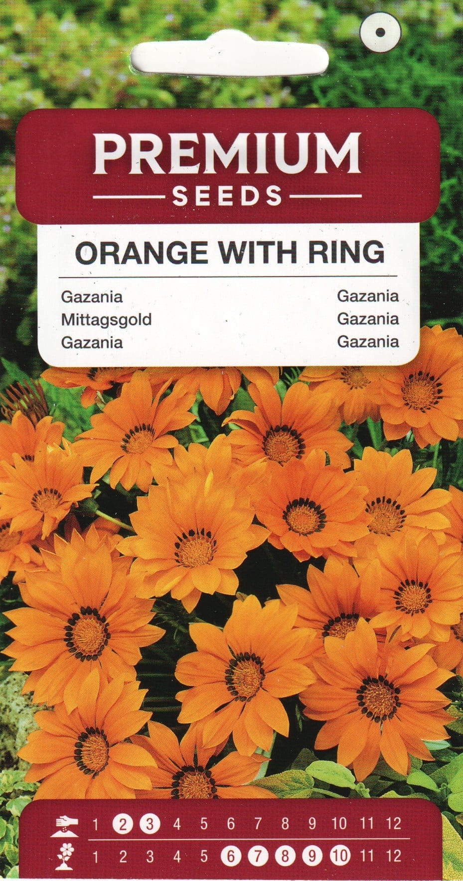 Särav gasaania "Orange With Ring"