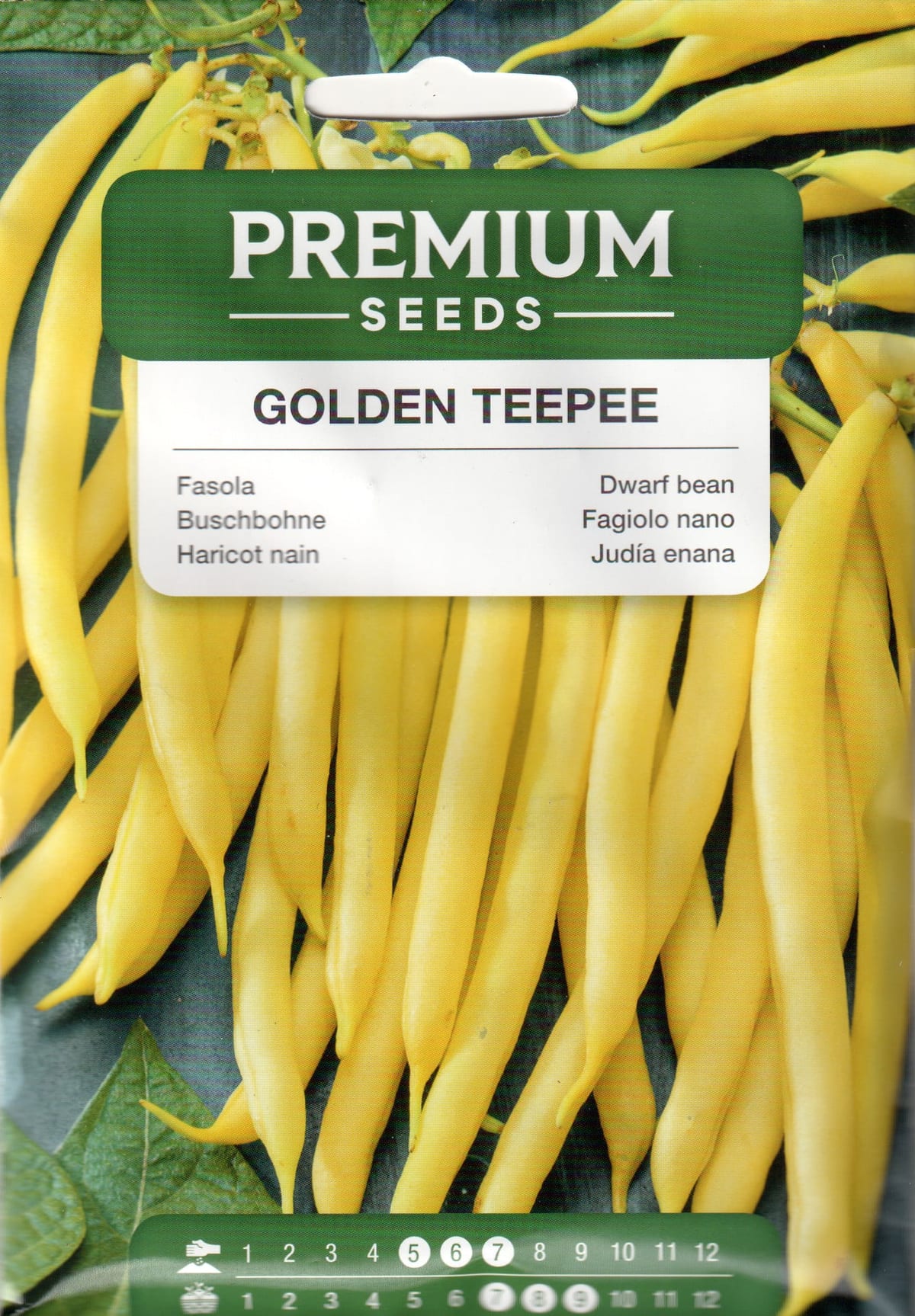 Aeduba "Golden Teepee"