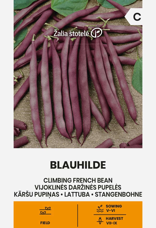 Lattuba "Blauhilde"
