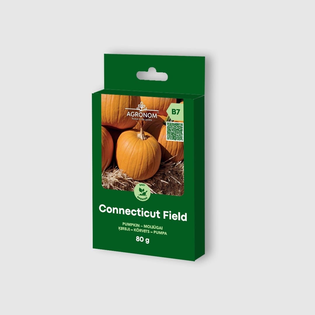 Kõrvits "Connecticut Field" 80 grammi