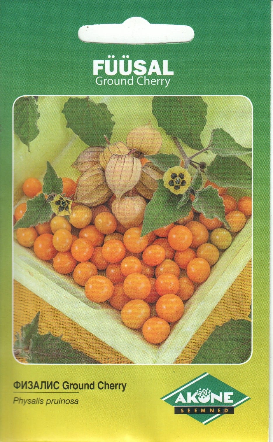 Tikkerfüüsal "Ground Cherry"