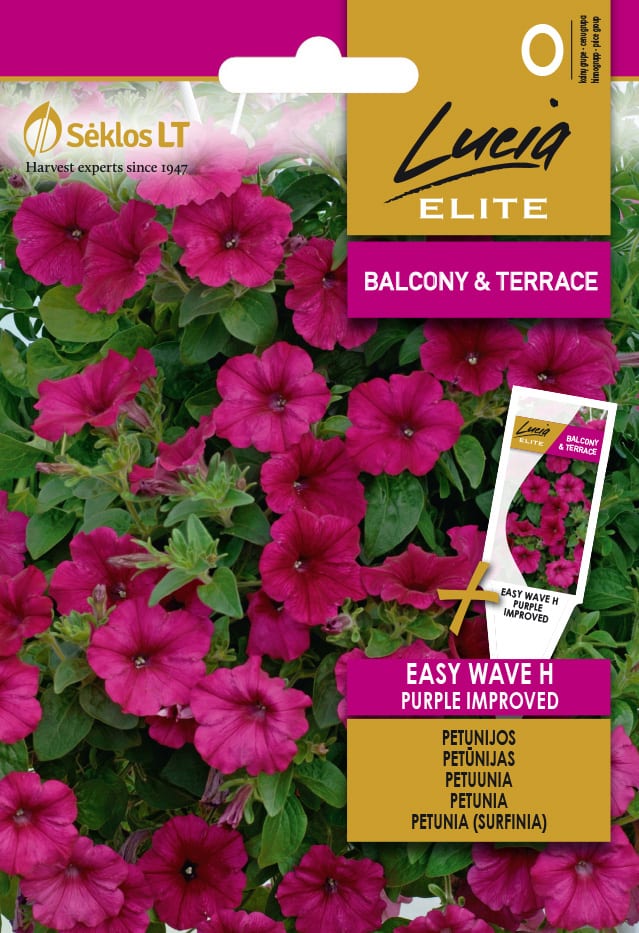 Ripp-petuunia "Easy Wave Purple" F1