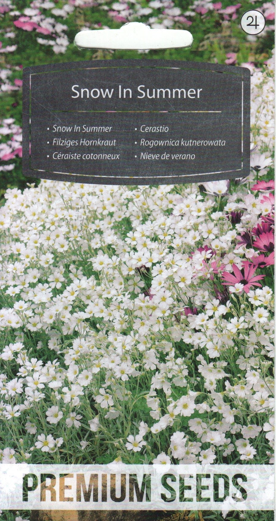 Karvane kadakkaer "Snow In Summer"