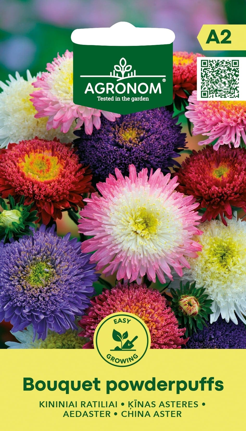 Aster "Bouquet Powderpuffs"