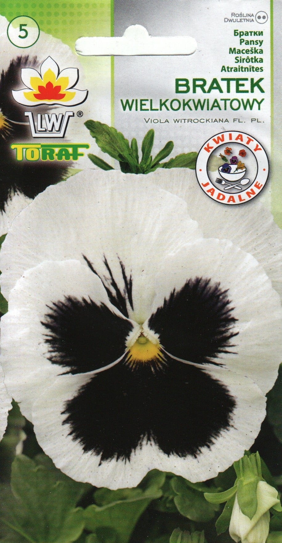 Võõrasema "Swiss Giants Silverbride"