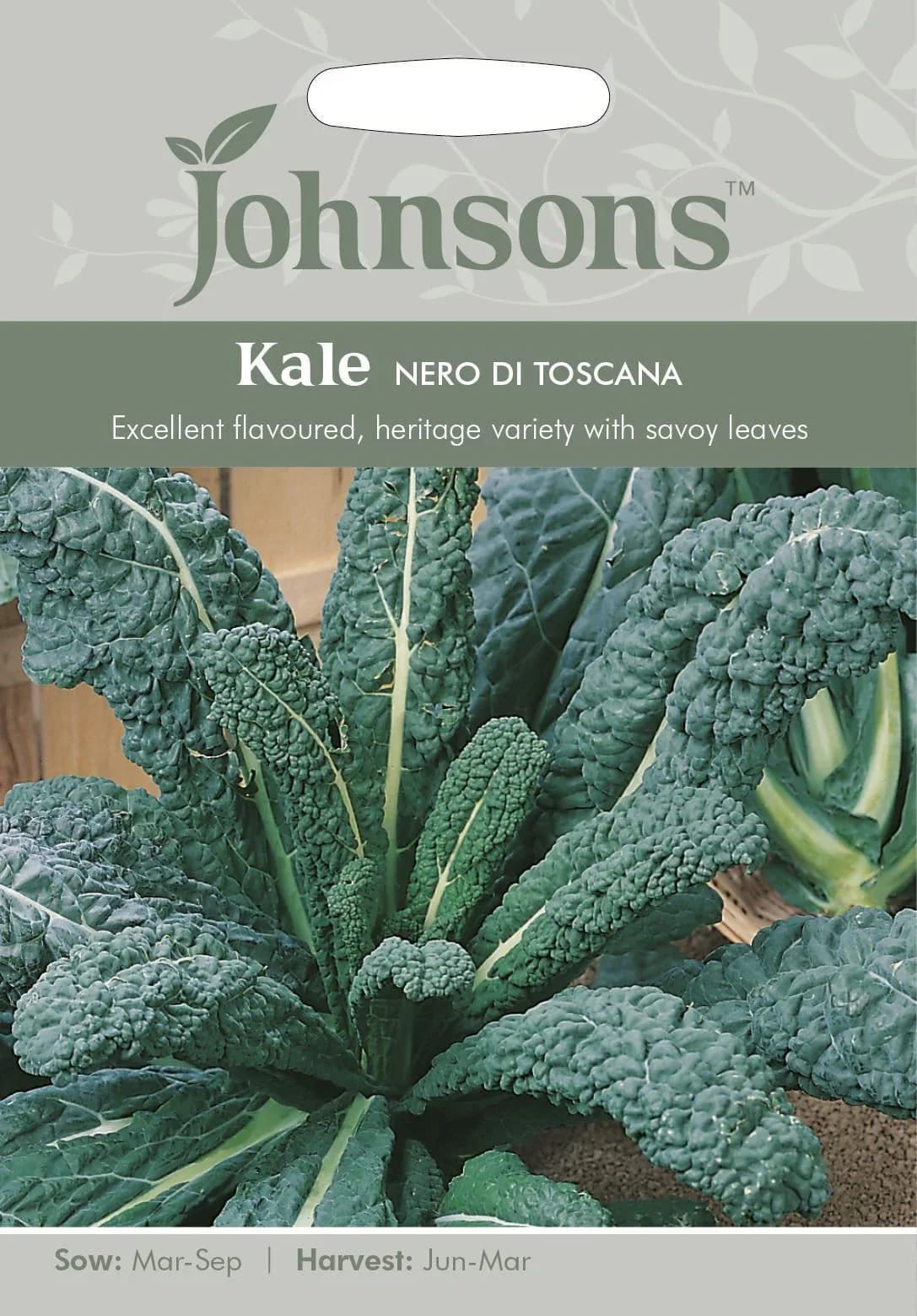 Kähar lehtkapsas "Nero di Toscana"