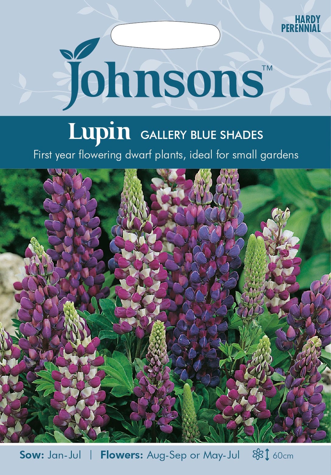Hulgalehine lupiin "Gallery Blue Shades"
