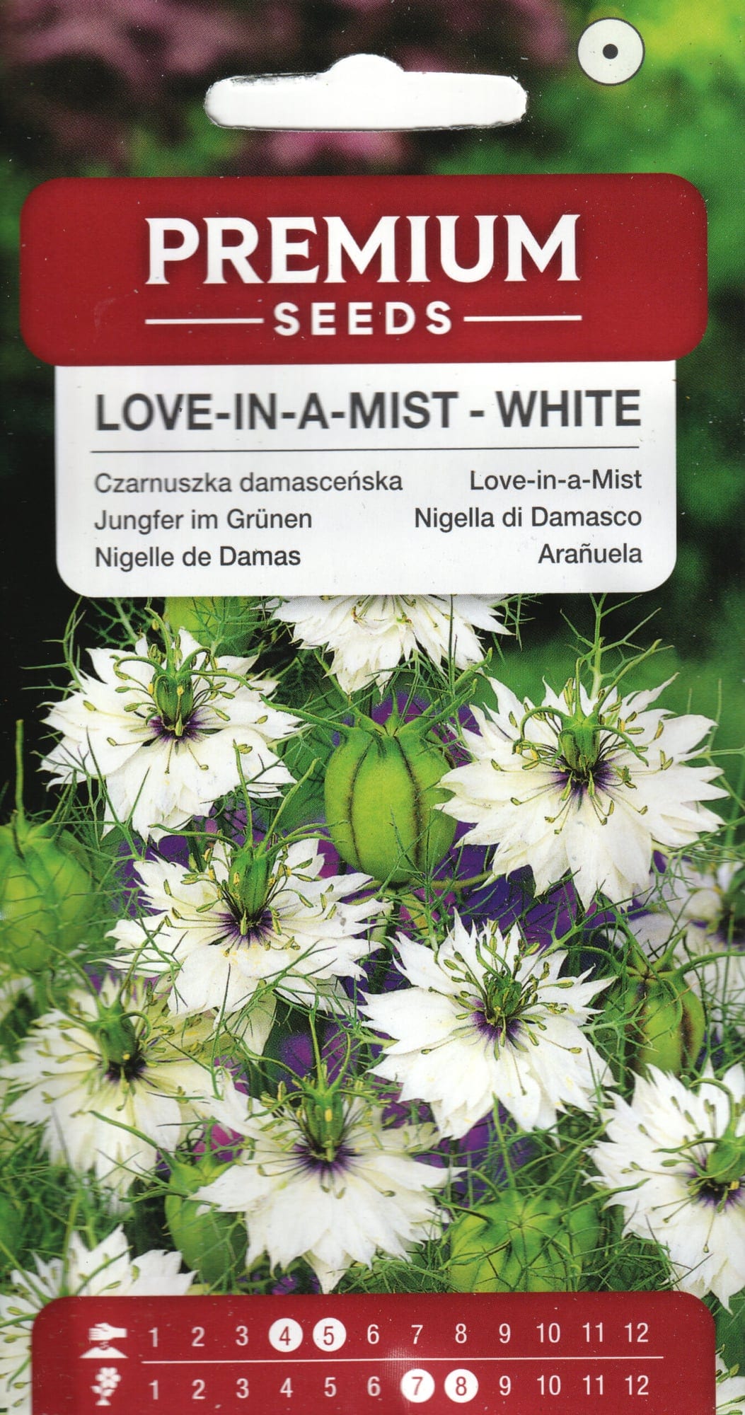 Türgi mustköömen "Love In a Mist White"