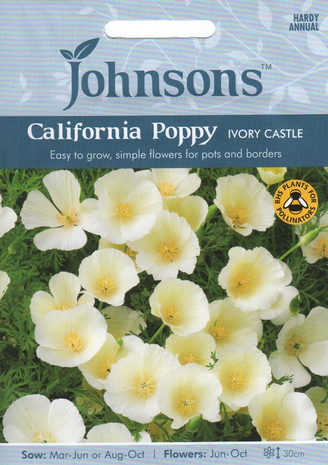 Kalifornia läänemagun "Ivory Castle"