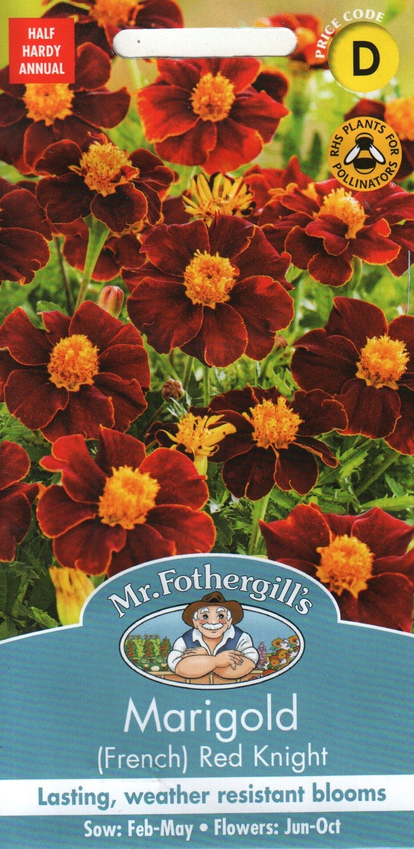 Peiulill "Red Knight"