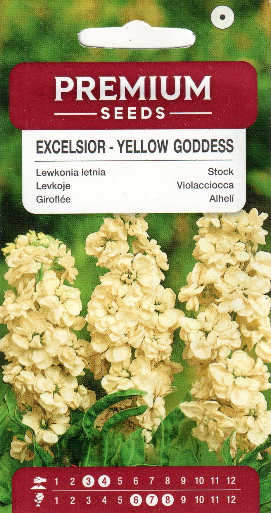 Levkoi "Excelsior Yellow Goddess"