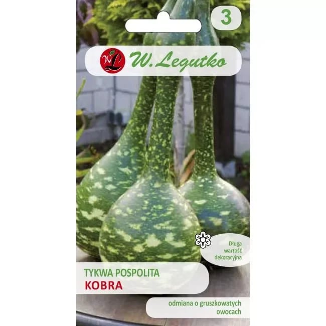Dekoratiivkõrvits "Kobra"