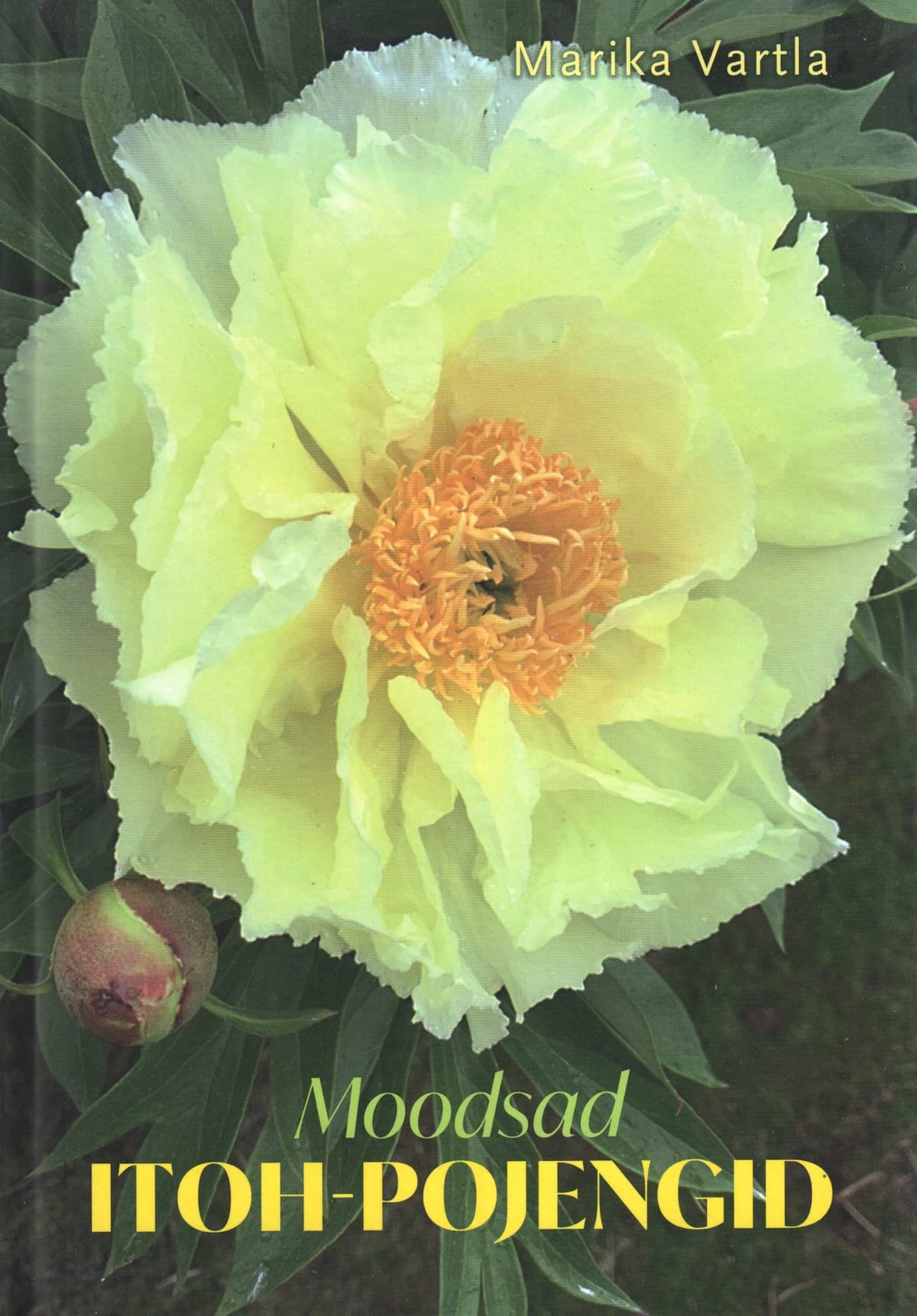 "Moodsad Itoh-pojengid"