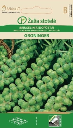 Rooskapsas "Groninger"