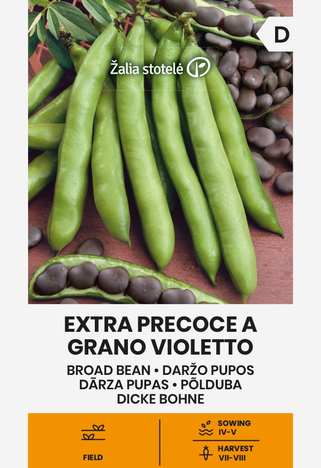 Põlduba "Extra Precoce a Grano Violetto"