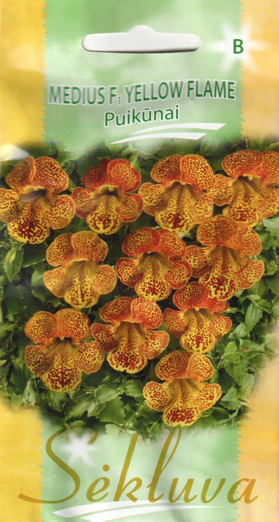 Pärdiklill "Medius Yellow Flame" F1