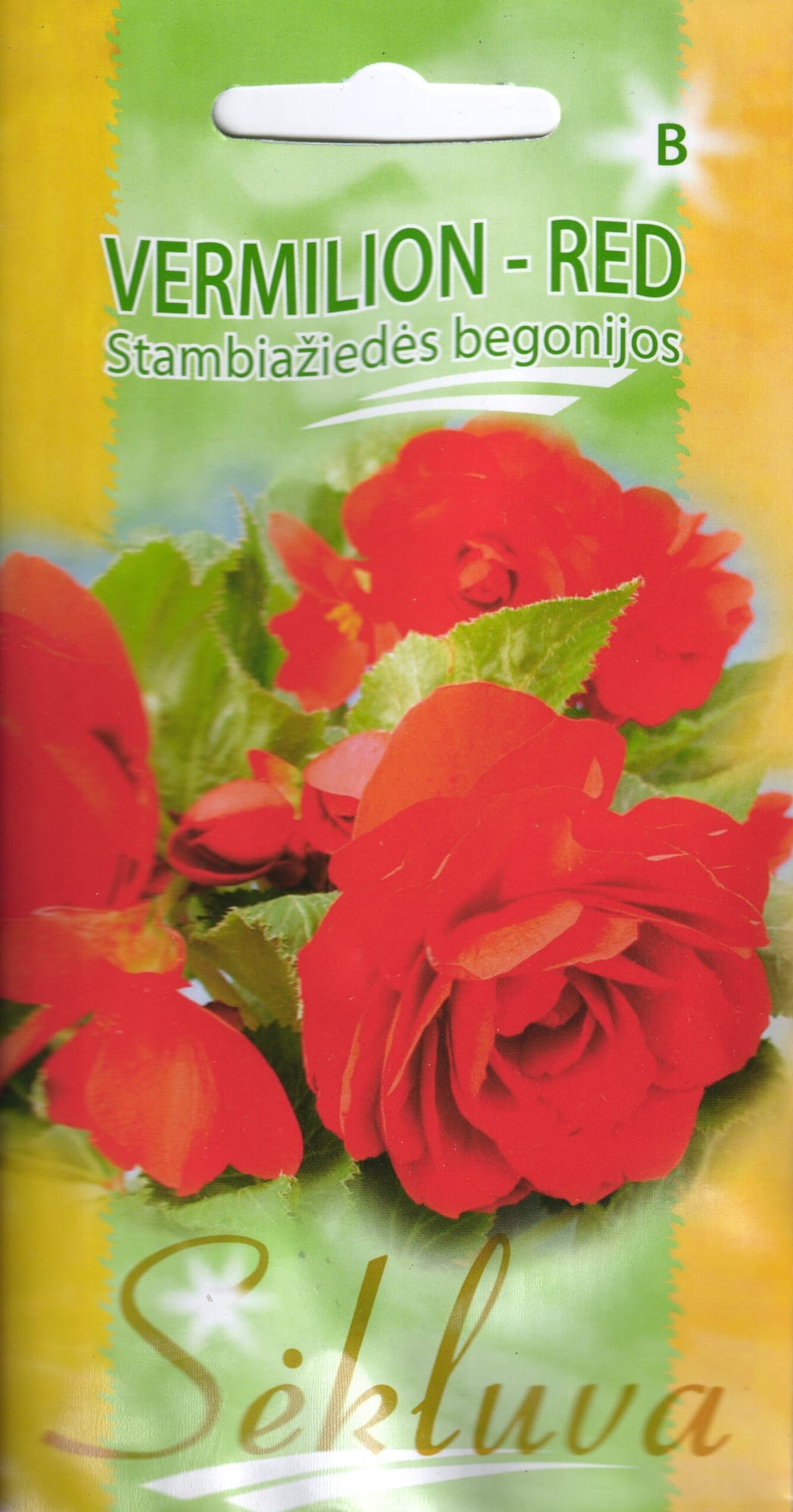 Mugulbegoonia "Vermilion Red"