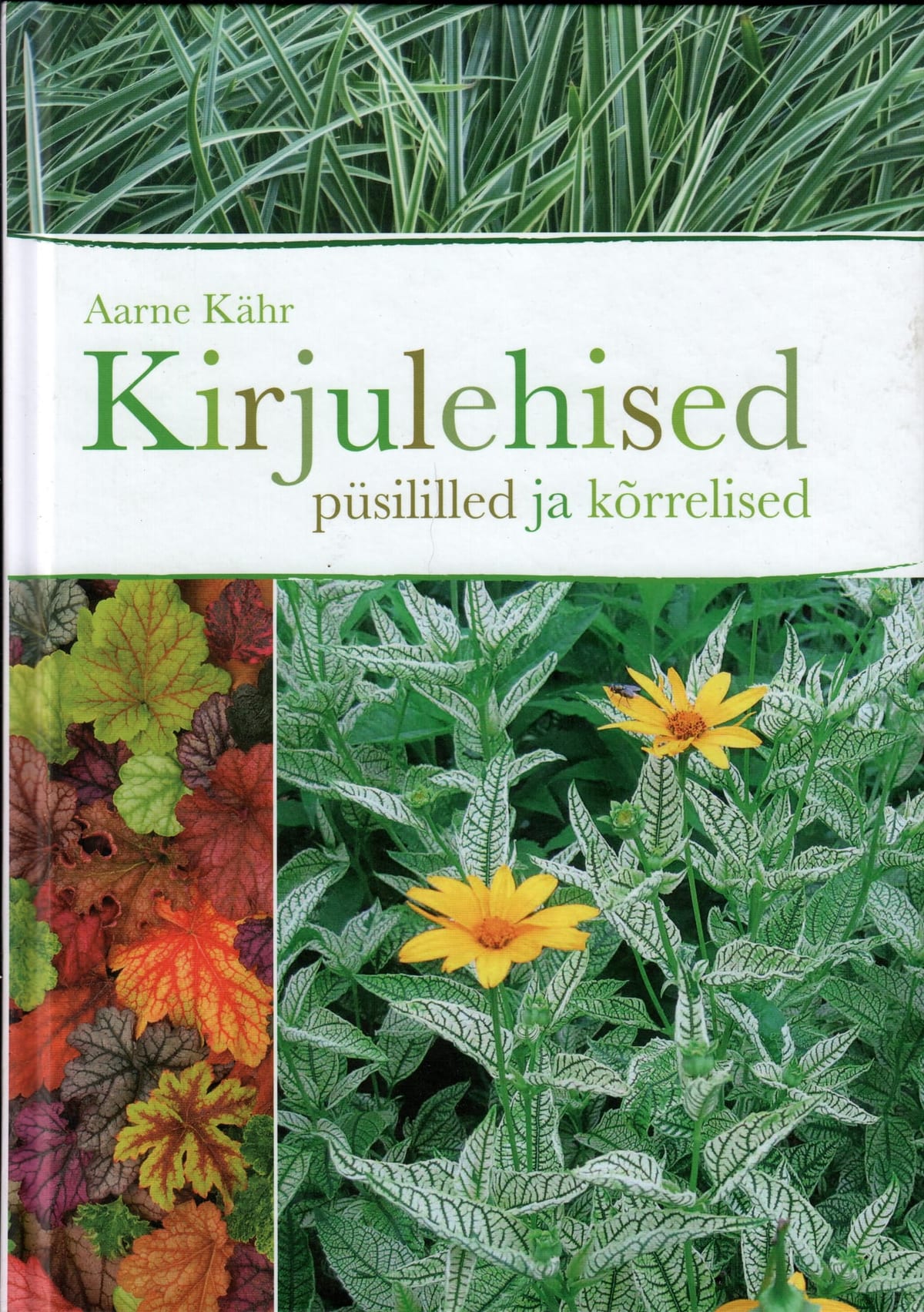 "Kirjulehised püsililled ja kõrrelised"