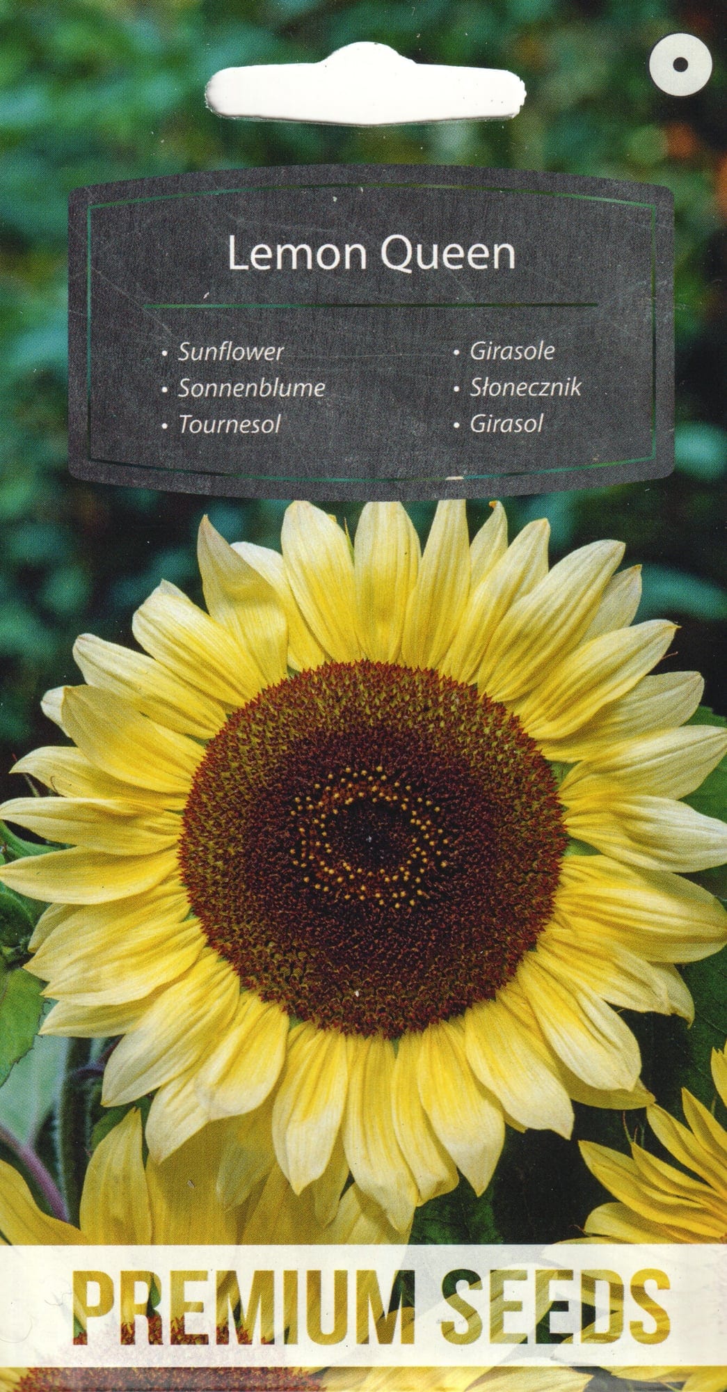 Päevalill "Lemon Queen"