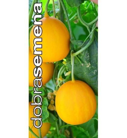 Avamaakurk "Yellow Ball" F1